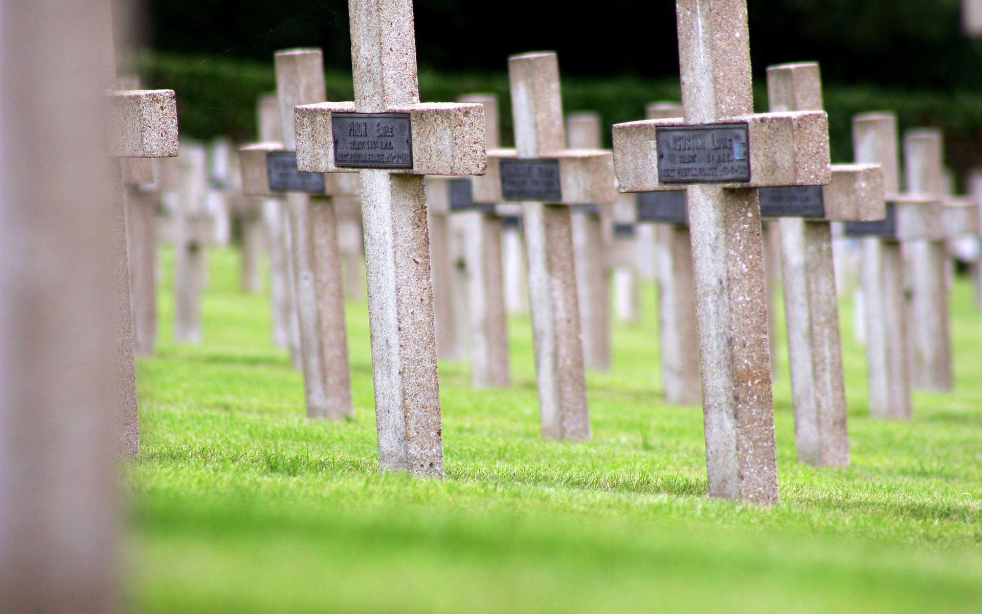 Soigner la phobie de la mort pour revivre