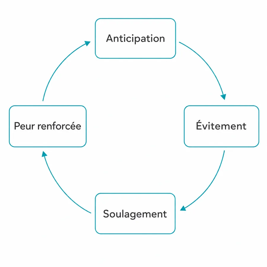 Schéma du cercle en quatre étapes : anticipation, évitement, soulagement, puis peur renforcée