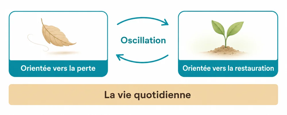 Schéma du modèle du double processus : une case orientée vers la perte et une case orientée vers la restauration, reliées par des flèches d'oscillation, au-dessus d'une bande intitulée la vie quotidienne